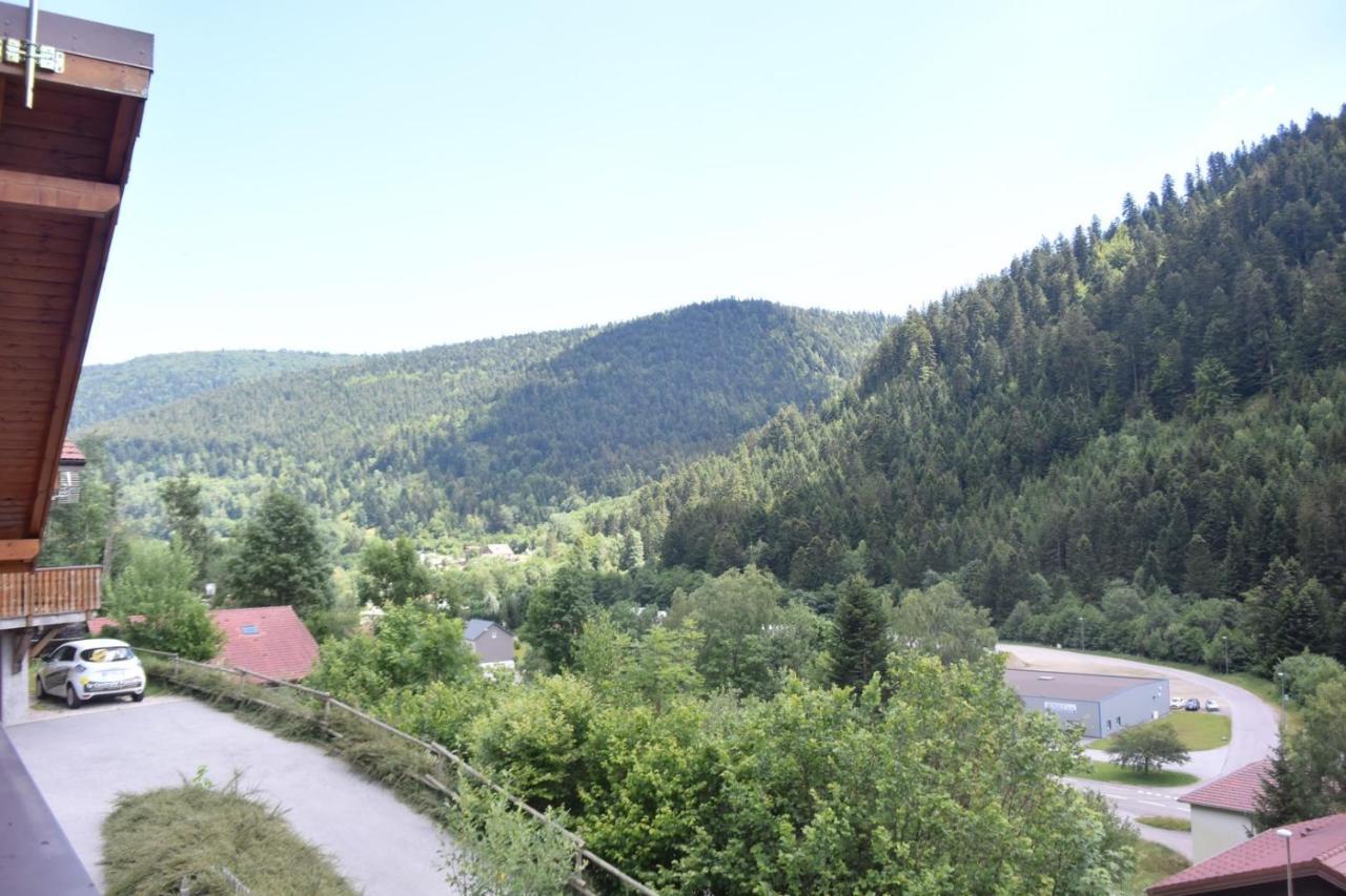 Chalet Le Bruleux ラ・ブレス エクステリア 写真